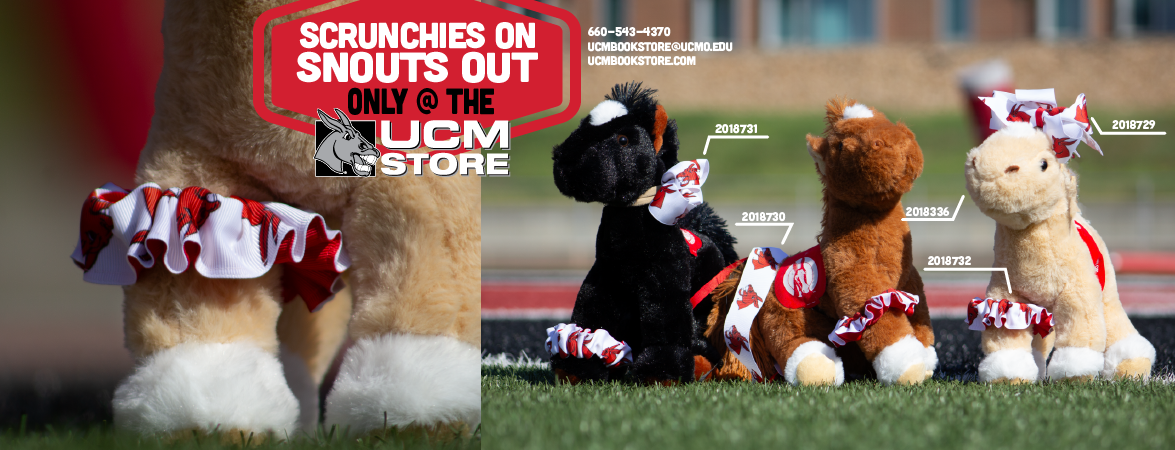 Scrunchies On & Snouts Out! Get Your Own UCM Scrunchie Only At The UCM Store.