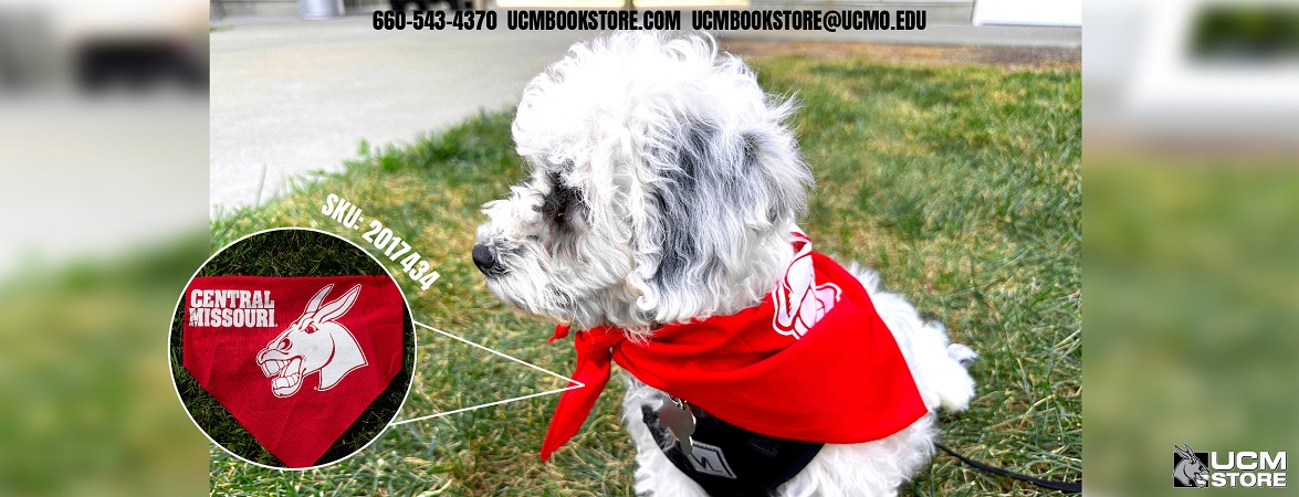 Show Your Pet's UCM Pride With A Central Missouri Mule Bandana!