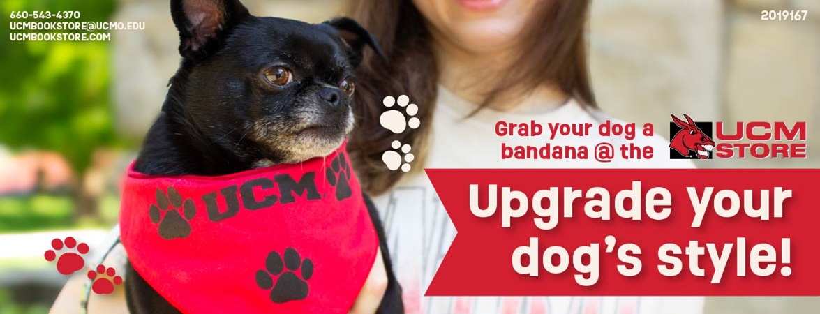 dog bandana